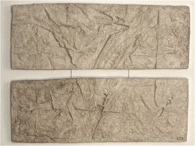 Marks, 2012, concrete, pigments, wax, 57 x 75 cm